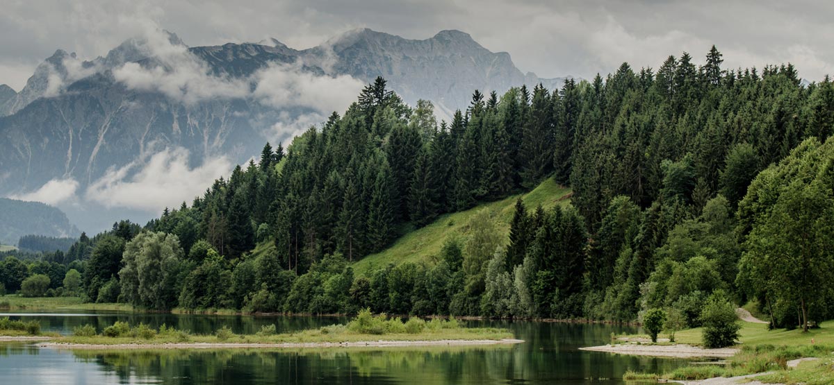 inscape Köln Profil